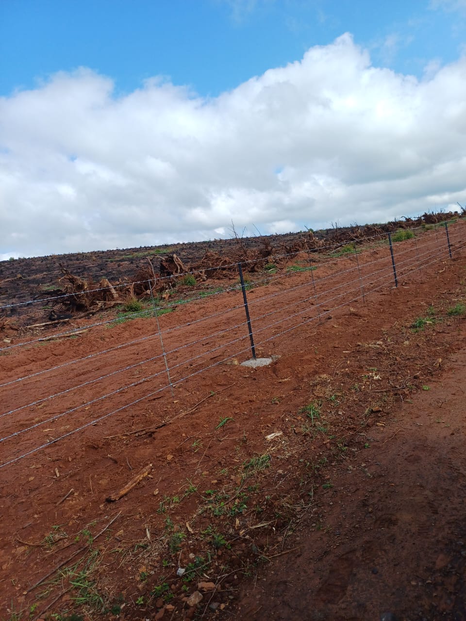 WhatsApp Image 2025-09-10 at 15.17.57